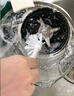 小熊（Bear）25年新品可拆洗轻音破壁机家用榨汁豆浆机1.5L全自动水箱水豆分离早安破壁机D12N5【全国补贴】 实拍图