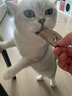 生生不息宠物零食猫犬通用 冻干猪心80g 实拍图