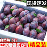 正宗新疆法兰西西梅新鲜当季时令水果礼盒喀什整箱应季孕妇甜李子 西梅5斤 精选中果 实拍图