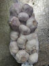 山东金乡蒜大蒜出口标准精选大蒜头蔬菜调料单果5cm 出口标准网兜装箱 925g 5-5.5cm特大 实拍图