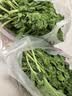 【顺丰】羽衣甘蓝 新鲜沙拉菜 都市健康轻食蔬菜 羽衣甘蓝1000g 实拍图