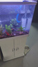 森森 小鲤鱼缸过滤器净水循环三合一内置水族箱过滤系统XQP-500F 6W 实拍图