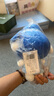 JOY&DOGA毛绒玩具joy吉祥物小狗公仔玩偶十二星座系列-水瓶座 实拍图