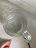 青苹果耐热玻璃凉水壶1.6L 可明火直烧冷水壶花茶壶泡茶围炉煮茶壶 实拍图