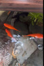 憨憨乐园蛋白棉水族鱼缸专用过滤材料除腥臭去黄水克星污力丸净水神器 实拍图