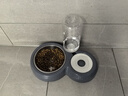 甜浪海猫碗双碗自动喂食器不锈钢狗盆幼猫吃饭喝水防打翻饮水机宠物食盆 实拍图