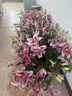 悦多彩AB级优质香水百合 家庭办公室各色生活鲜花 昆明基地 现采直发 粉色百合花40朵（多头10枝） 实拍图