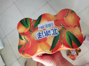 北冰洋 桔汁汽水330ml*24罐 果汁碳酸饮料整箱 实拍图