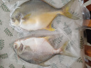 翔泰海南二去金鲳鱼700g/2条  去鳃去内脏 烧烤 生鲜鱼类  海鲜水产 实拍图