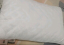 洁丽雅（Grace）A类纯棉高弹酒店枕头枕芯护颈枕颈椎枕家用枕芯成人睡觉专用高枕 实拍图