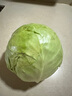新鲜甘蓝包菜卷心菜新鲜嫩绿莲花白现摘现发到京东来买菜 新鲜包菜 1.5-2斤 人工挑拣 实拍图