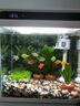 森森 超白玻璃智能鱼缸一体缸自循环家用水族箱HE-300 实拍图