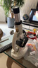 得力（deli）40000倍生物光学显微镜初中生科学实验教材同步台式专业版看细胞手持高倍手机便携细菌生日礼物 实拍图