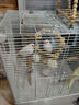 CARNO PET PRODUCTS卡诺鸟笼鹦鹉笼子不锈钢鸟笼大号家用别墅防溅洒新款生态玄凤笼子 实拍图