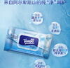 得宝（TEMPO）湿巾 冰川纯水80片*1包抽取式 卫生湿巾 湿纸巾 温和不刺激 实拍图