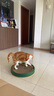 疯狂的主人 猫抓板窝超大号圆形不掉屑耐磨一体猫窝磨爪猫咪玩具 实拍图