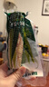 伊利安慕希希腊风味常温酸奶营养伴侣 6月产黄桃燕麦200g*10瓶 实拍图