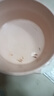 卡奇鱼 斑马鱼 淡水鱼 观赏鱼 小型观赏鱼 热带鱼 蝶翼斑马荧光好养易活 八色套餐A（图上每种各1条） 实拍图