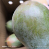 京鲜生 攀枝花凯特芒果 净重4.5斤 带箱5斤 单果400g+ 生鲜水果源头直发 实拍图
