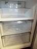 美的（Midea）三门249家用电冰箱小型三开门风冷无霜变频一级能效多门宿舍租房以旧换新MR-249WTPE【国家补贴】 实拍图