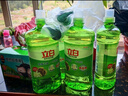 立白茶籽洗洁精1kg*4瓶99%除菌高效去油除味宝宝餐具果蔬适用食品可用 实拍图