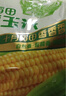 十月稻田 黄糯玉米 3.52斤(220g*8根) 东北甜黏玉米棒 早餐苞米 真空包装 实拍图
