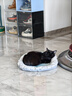 疯狂的主人 猫抓板窝超大号圆形不掉屑耐磨一体猫窝磨爪猫咪玩具 实拍图