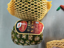 都乐Dole 菲律宾无冠凤梨 菠萝 中果2个*800g起 酸甜可口源头直发包邮 实拍图