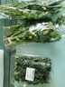 带根香菜100g 实拍图