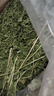 喜帅 烘干小麦草干草 兔子荷兰猪龙猫豚鼠牧草粮食饲料草毛重1kg  实拍图