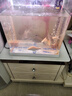 森森（SUNSUN） 鱼缸过滤棉加厚生化棉水族箱过滤器白棉过滤材料 3米长*12cm宽*2cm厚 实拍图