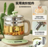 小熊（Bear）养生壶煮茶壶恒温水壶保温烧水一体电热水壶花茶壶 1.5升全自动玻璃养生烧水壶国家补贴母亲节礼物 YSH-B18T1【配滤网+蛋架】 1.5L 绿色 实拍图