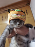 冠能猫粮成猫猫粮三文鱼味7kg 全价猫粮 稳固免疫 适口性强 实拍图