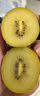 佳沛（zespri）新西兰  阳光金奇异果6粒装 单果约77-103g  源头直发  猕猴桃 实拍图