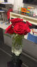 艾斯维娜鲜花速递11朵玫瑰花束送女友生日礼物全国同城配送 19朵玫瑰混搭花束清新款 实拍图