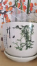 裕轩堂花盆陶瓷家用吊兰蝴蝶兰绿萝带托盘大号个性阳台简约多肉室内套装 79084（两个17厘米） 中等 实拍图