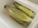 佳农宝菜山东新鲜水果甜玉米约3-4根装净重3斤当季现摘源头直发 实拍图