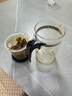 金灶（KAMJOVE）玻璃茶壶 按压式飘逸杯 茶水壶玻璃茶具 茶水分离杯泡茶器泡茶壶 TP-160/500ml容量 实拍图