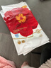 宜婴弱酸红山茶花3XL60片+2片拉拉裤小内裤【品牌直供 安心品质】 实拍图