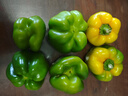 现摘新鲜圆辣椒超市即食太空椒皮厚肉多不辣水果灯笼椒 2斤普通装 2斤 实拍图