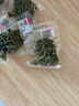诗腾重庆江津鲜花椒100g*5袋 新鲜青麻椒保鲜藤椒火锅香辛料 源头直发 实拍图