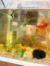 森森（SUNSUN）鱼缸过滤器壁挂式过滤泵水族箱乌龟缸三合一过滤设备 HBL-302 3W（适合20-50cm缸） 实拍图