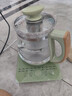 容声养生壶煮茶壶1.8L多功能煮茶器家用办公室炖煮一体烧水壶多段恒温保温花茶壶中药药膳壶电热水壶 316L不锈钢-带蛋架+滤网 1.8L 绿色 实拍图