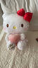 伊美娃娃正版HelloKitty凯蒂猫公仔kt猫玩偶毛绒玩具送女孩女生生日礼物 实拍图