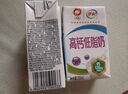 伊利纯牛奶整箱 250ml*24盒 优质乳蛋白 礼盒装 新鲜日期 实拍图