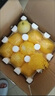 头茬早甜脆小蜜蜂蜜罐甜瓜现摘星甜20应季新鲜水果香瓜白糖罐 高复购【5斤装】品质升级 实拍图