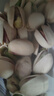 如水 开心果100g/袋 健康新货无漂白无防腐添加 开心每一粒 休闲零食 实拍图
