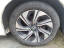 佳通(Giti)轮胎205/55R16  Taxi900 原配 比亚迪E5 适配 帝豪 实拍图