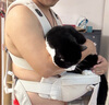 比威亚bvya婴儿腰凳解放者婴儿背带前抱式宝宝两用外出抱娃神器多功能 奶油白 实拍图
