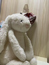 Jellycat害羞乳白色邦尼兔安抚玩偶送礼娃娃生日礼物 乳白色 Large 实拍图